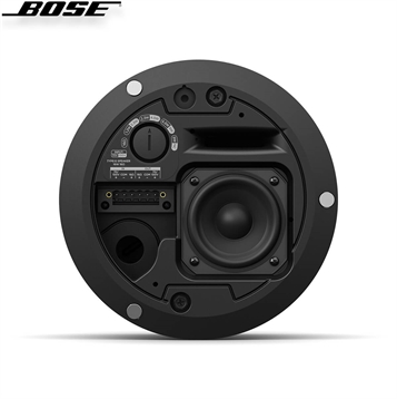 Loa Bose DesignMax DM2C-LP